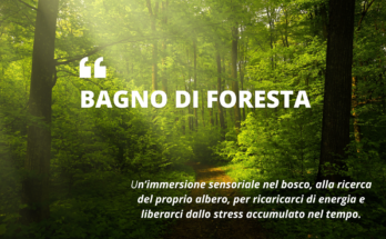 Sabato 13 aprile ore 15:00 Bagno di foresta Villa Pamphili Appuntamento ingresso di via Vitellia, 102 Info e prenotazioni al 3756307153